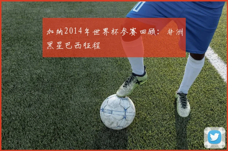 加纳2014年世界杯参赛回顾:非洲黑星巴西征程